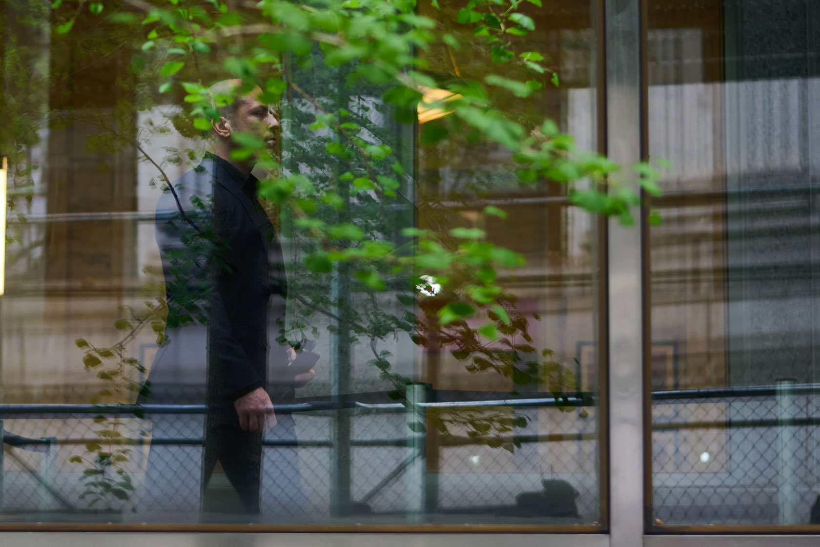 Gannon Ken Van Dyke seen through window and behind tree